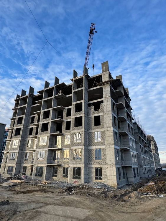 Отчёты за январь 2025г