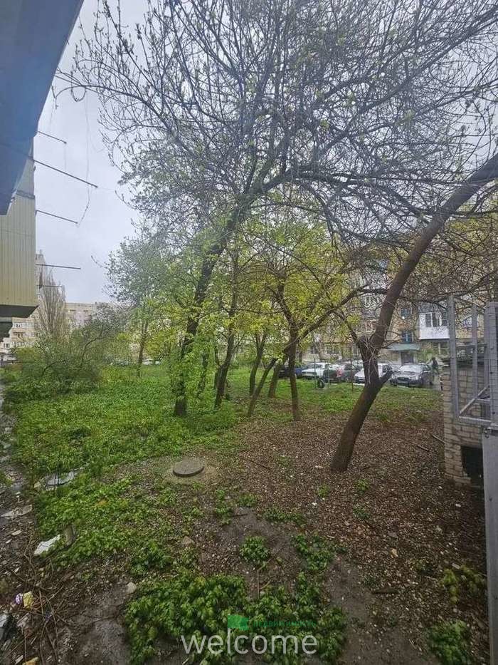 Превью