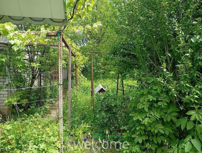 Превью