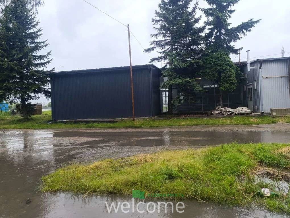 Превью